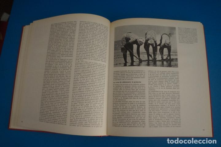 Libros de segunda mano: LIBRO DE LAS RAZAS HUMANAS 1 A&Ntilde;O 1981 DE EDICIONES DE CIESA - Foto 5