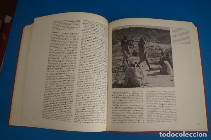 Libros de segunda mano: LIBRO DE LAS RAZAS HUMANAS 1 A&Ntilde;O 1981 DE EDICIONES DE CIESA - Foto 7