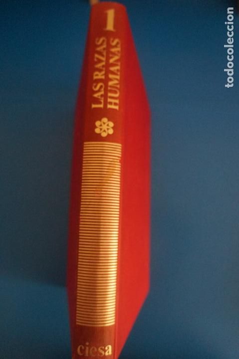 Libros de segunda mano: LIBRO DE LAS RAZAS HUMANAS 1 A&Ntilde;O 1981 DE EDICIONES DE CIESA