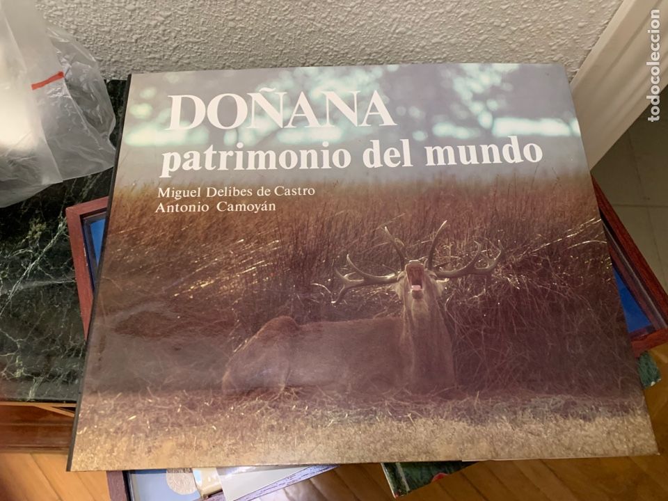 Libros de segunda mano: DELIBES DE CASTRO Miguel - CAMOYAN Antonio - Do&ntilde;ana, patrimonio del mundo