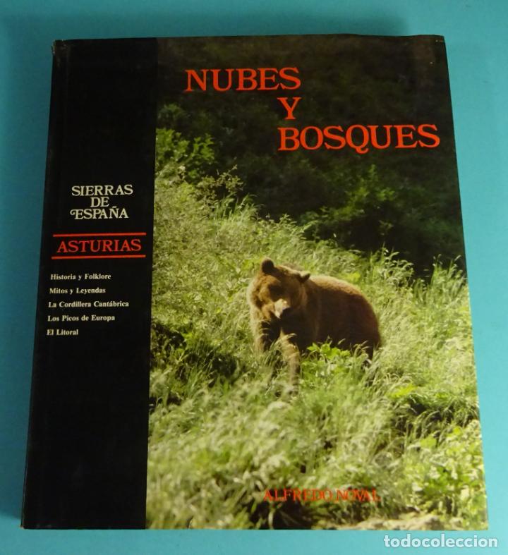 Gebrauchte B&uuml;cher: NUBES Y BOSQUES. ASTURIAS. FOLKLORE. MITOS Y LEYENDAS. PICOS DE EUROPA. ALFREDO NOVAL