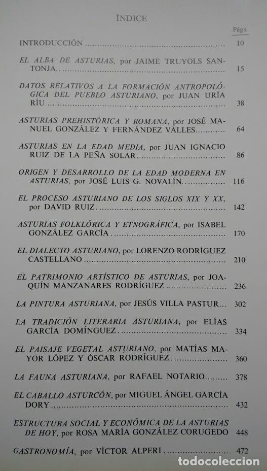 Libros de segunda mano: EL LIBRO DE ASTURIAS - D40 - Foto 2