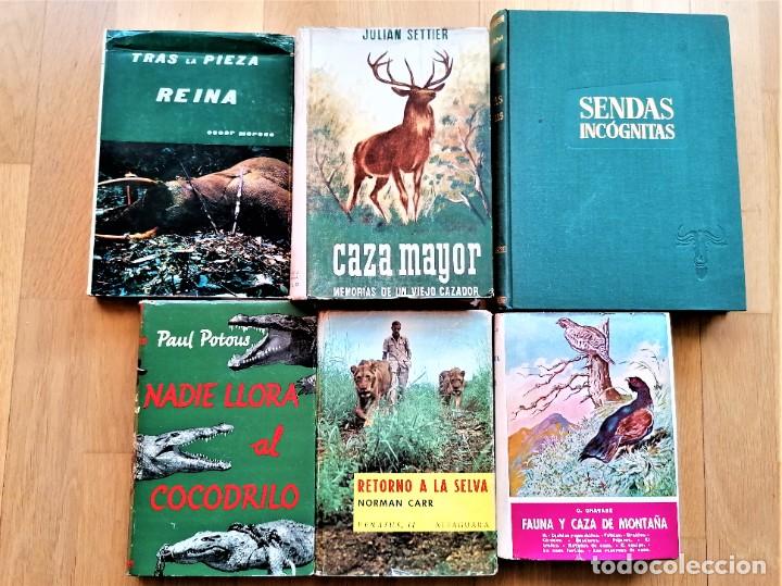 coleccion 6 antiguos libros caza mayor,safaris, - Acheter Livres de  géographie et voyages d'occasion sur todocoleccion