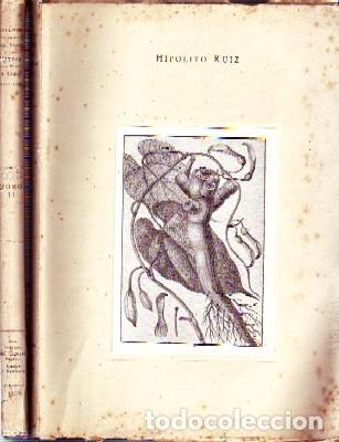 Libri di seconda mano: RELACION HISTORICA DEL VIAGE A LOS REYNOS DEL PERU Y CHILE. RUIZ, HIPOLITO. VI-325