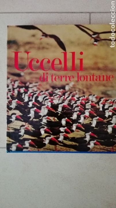 Libros de segunda mano: Uccelli di terre lontane - Aves de tierras lejanas