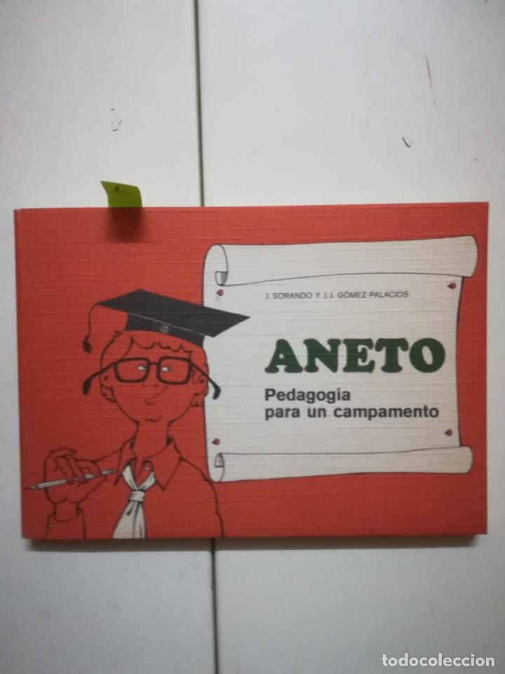 Livros em segunda m&atilde;o: Aneto, pedagog&iacute;a para un campamento, Sorando y otros. 1975