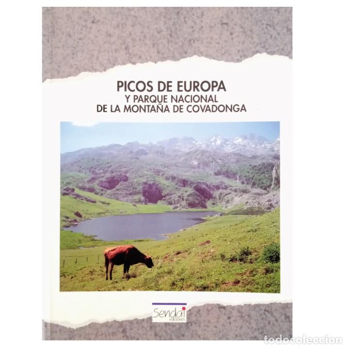 Libri di seconda mano: PICOS DE EUROPA Y PARQUE NACIONAL DE LA MONTA&Ntilde;A DE COVADONGA. Cuerda Quintana, Pep
