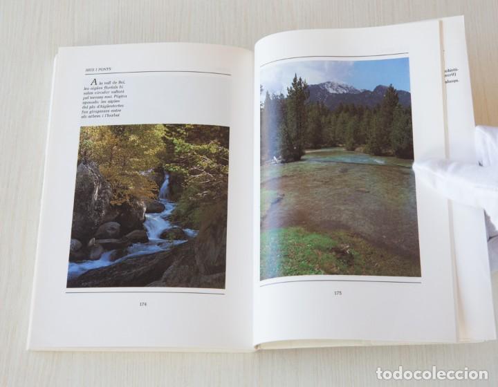 Libros de segunda mano: La Comarca de lAlta Ribagor&ccedil;a - Foto 10
