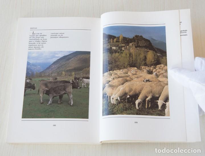 Libros de segunda mano: La Comarca de lAlta Ribagor&ccedil;a - Foto 11
