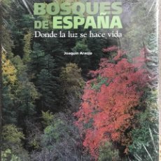 Libros de segunda mano: BOSQUES DE ESPAÑA. JOAQUIN ARAUJO. LUNDWERG/IBERCAJA. 2012. Lote 328844618