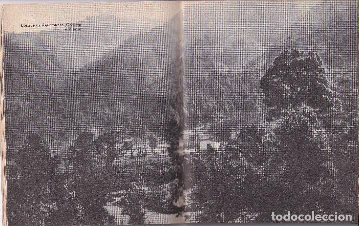 Libros de segunda mano: GUIA DE TENERIFE - Foto 6