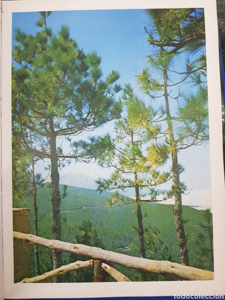 Libros de segunda mano: Tenerife en color - Foto 4