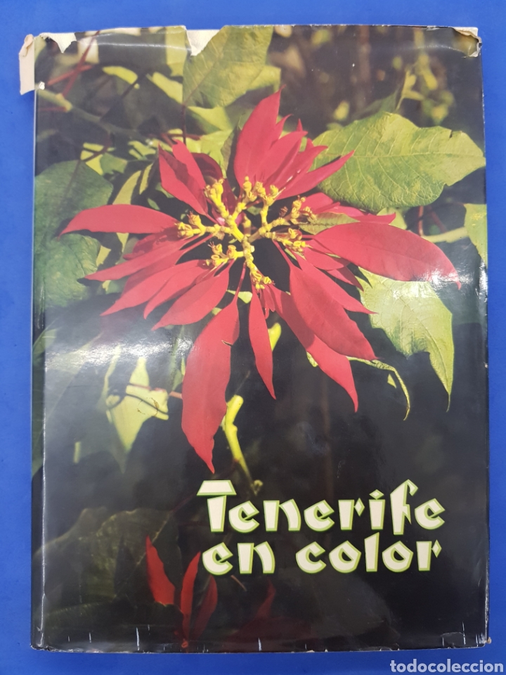 Libros de segunda mano: Tenerife en color - Foto 1
