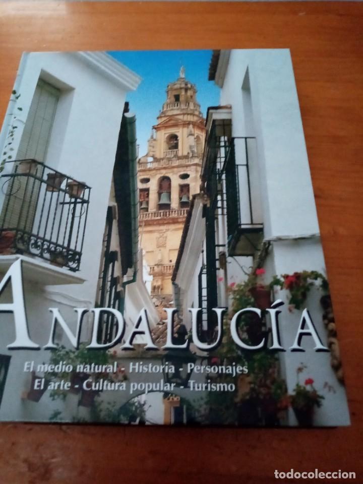 Libri di seconda mano: ANDALUCIA EL MEDIO NATURAL. HISTORIA. PERSONAJES. EL ARTE. CULTURA POPULAR. EST31B4