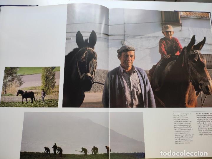 Libros de segunda mano: C&aacute;diz. Daniel Aubry. - Foto 3