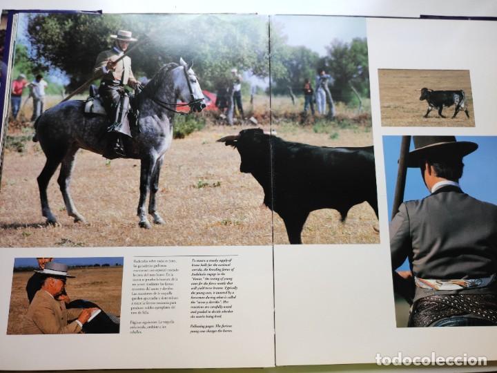 Libros de segunda mano: C&aacute;diz. Daniel Aubry. - Foto 4