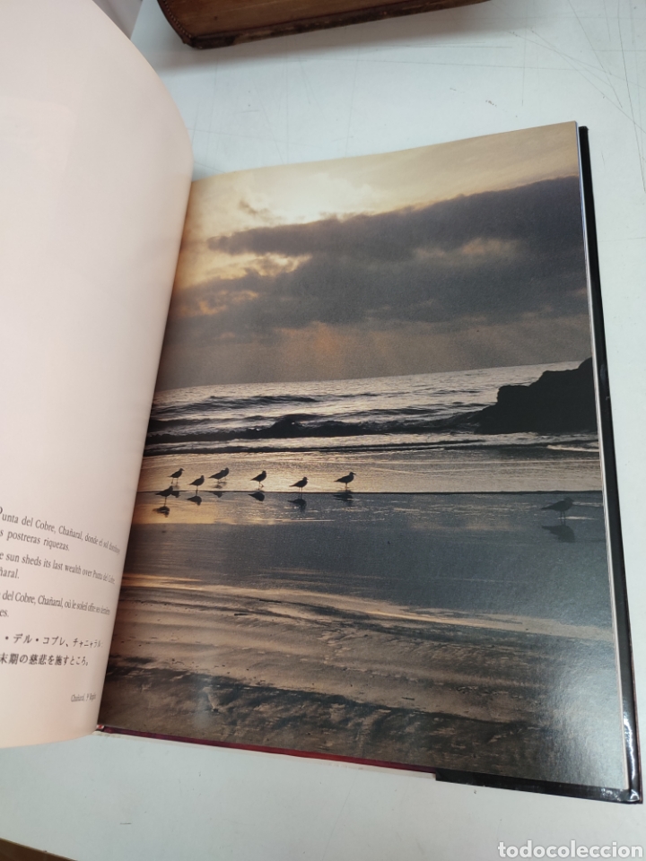 Libros de segunda mano: Chile, al sur del sol George Munro - Foto 3