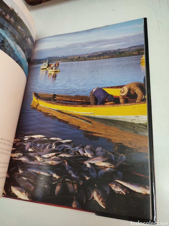 Libros de segunda mano: Chile, al sur del sol George Munro - Foto 5