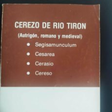 Libros de segunda mano: CEREZO DE RIO TIRON (AUTRIGON, ROMANO Y MEDIEVAL) MARINO PEREZ AVELLANEDA
