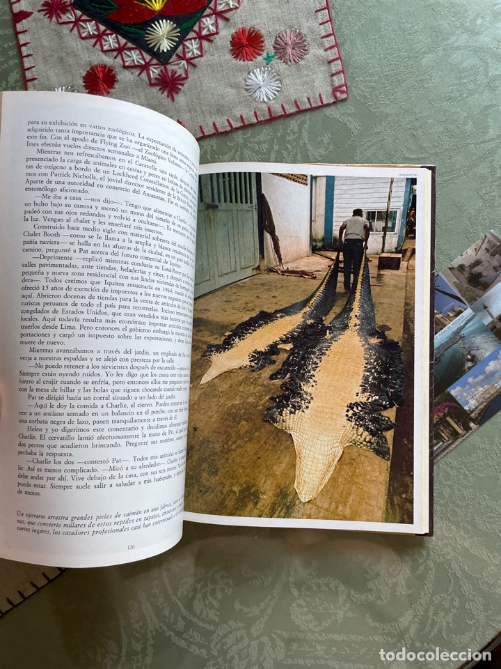 Libros de segunda mano: Explorando el Amazonas. National Geographic - Foto 5