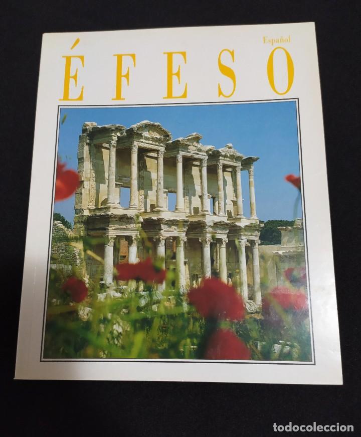Libros de segunda mano: GU&Iacute;A DE &Eacute;FESO EN ESPA&Ntilde;OL EDITORES DO-G&Uuml; 2004
