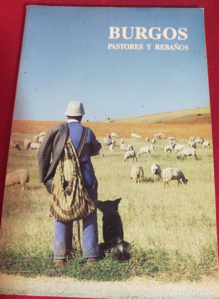 Libri di seconda mano: BURGOS PASTORES Y REBA&Ntilde;OS
