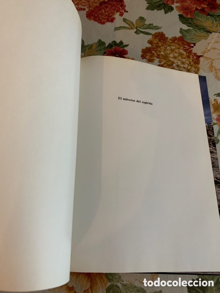 Libros de segunda mano: Himalaya. Los monasterios de los Lamas. Javier G&oacute;mez Rea y Devdan Sen. - Foto 5