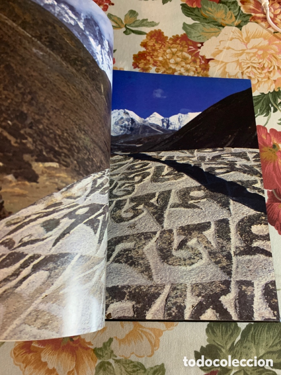 Libros de segunda mano: Himalaya. Los monasterios de los Lamas. Javier G&oacute;mez Rea y Devdan Sen. - Foto 18