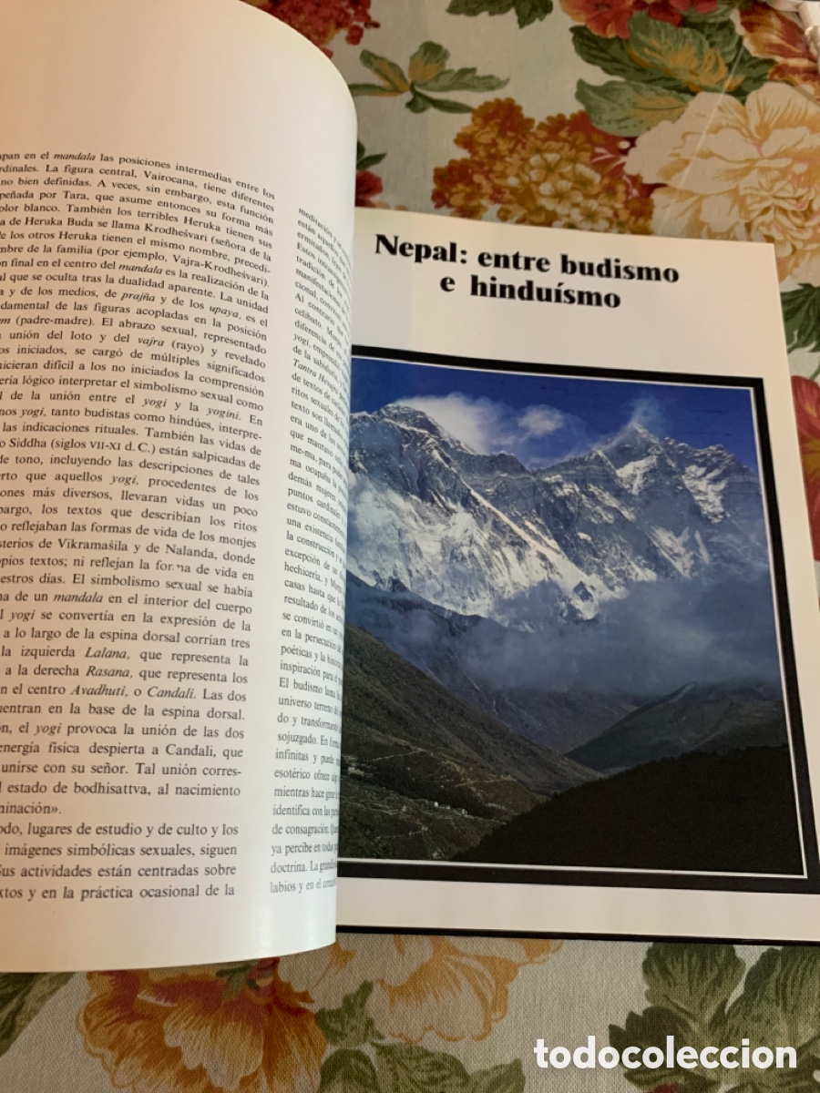 Libros de segunda mano: Himalaya. Los monasterios de los Lamas. Javier G&oacute;mez Rea y Devdan Sen. - Foto 19