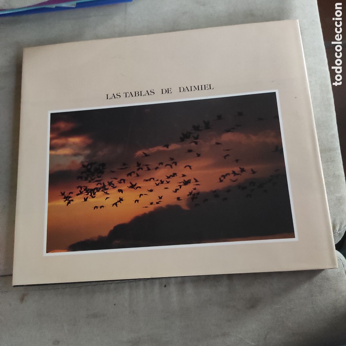 Libros de segunda mano: Las Tablas de Daimiel - Luis Blas Aritio - Foto 4