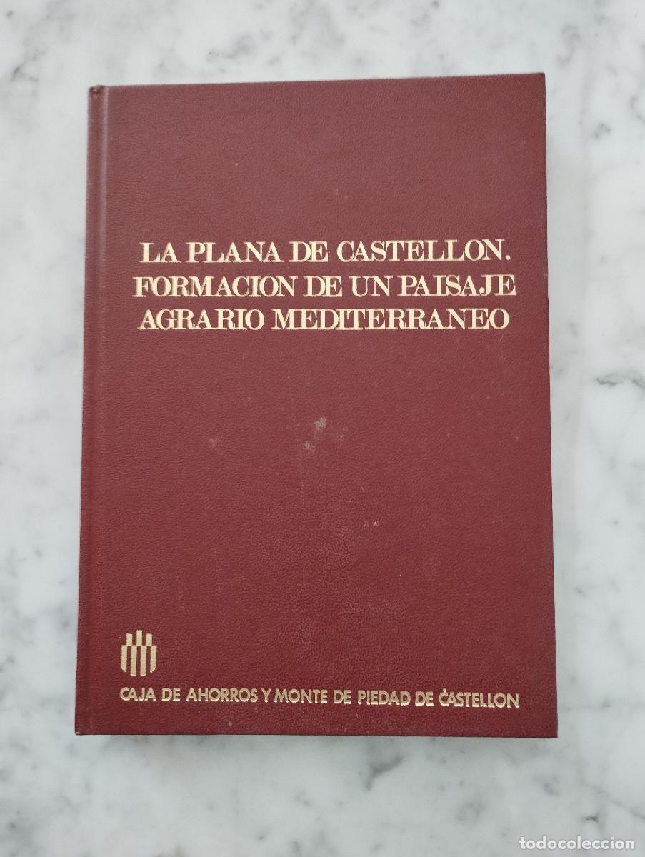 Libros de segunda mano: LA PLANA DE CASTELL&Oacute;N FORMACION DE UN PAISAJE AGRARIO MEDITERRANEO