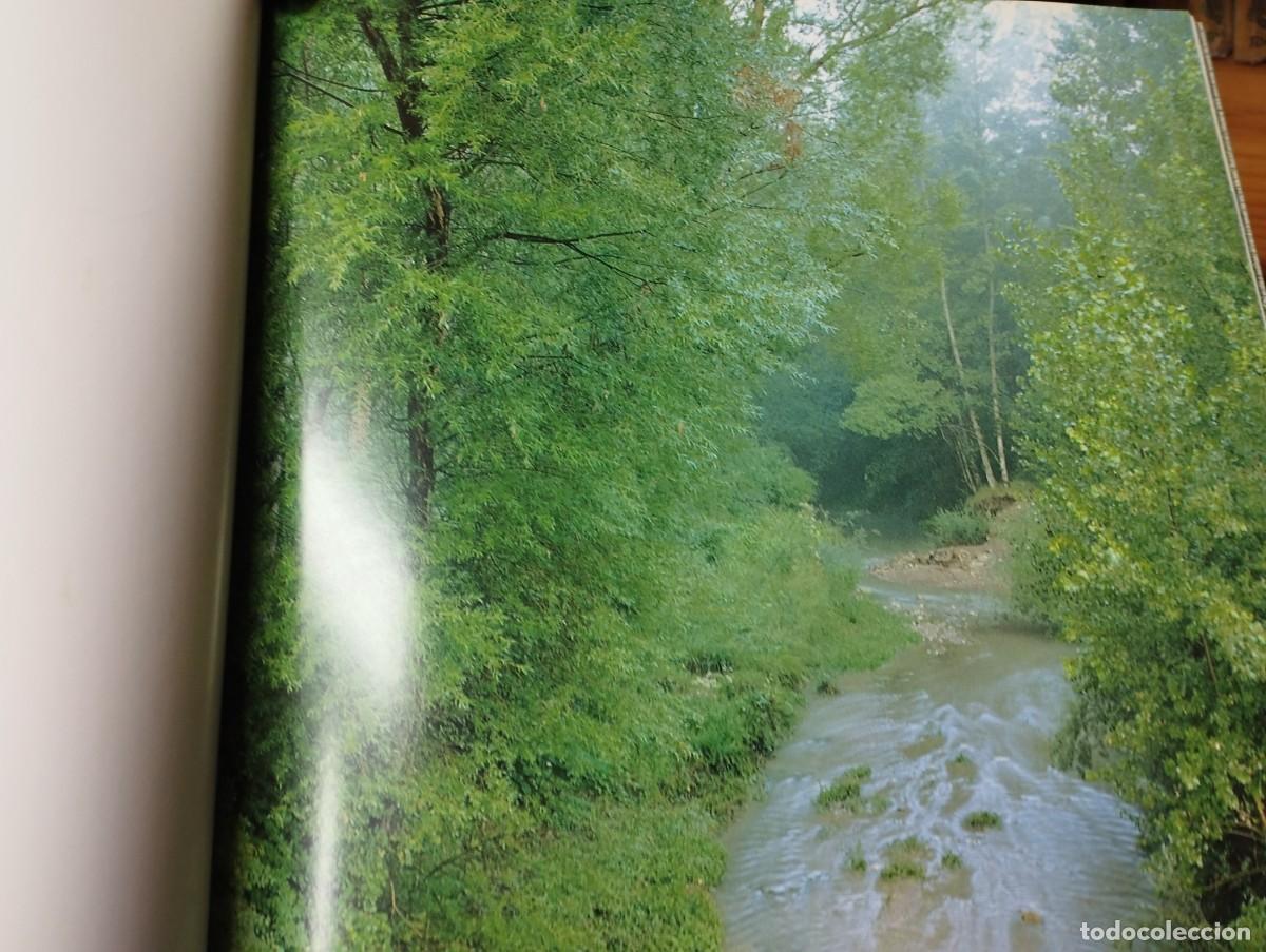 Libros de segunda mano: Turia el r&iacute;o escultor. - Foto 3