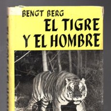 Libros de segunda mano: EL TIGRE Y EL HOMBRE - BENGT BERG - EDITORIAL JUVENTUD 1958. Lote 378643209