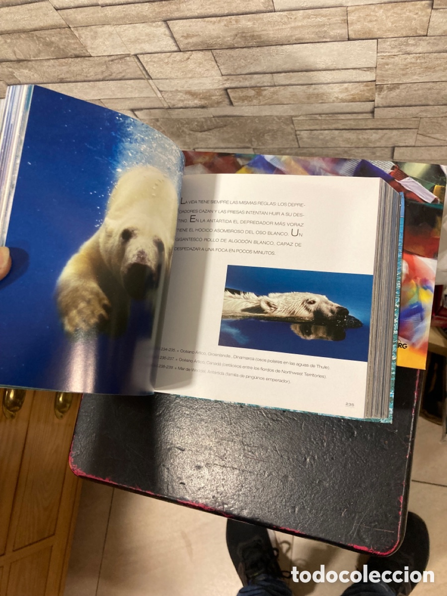 Libros de segunda mano: Libro el mar - Foto 8