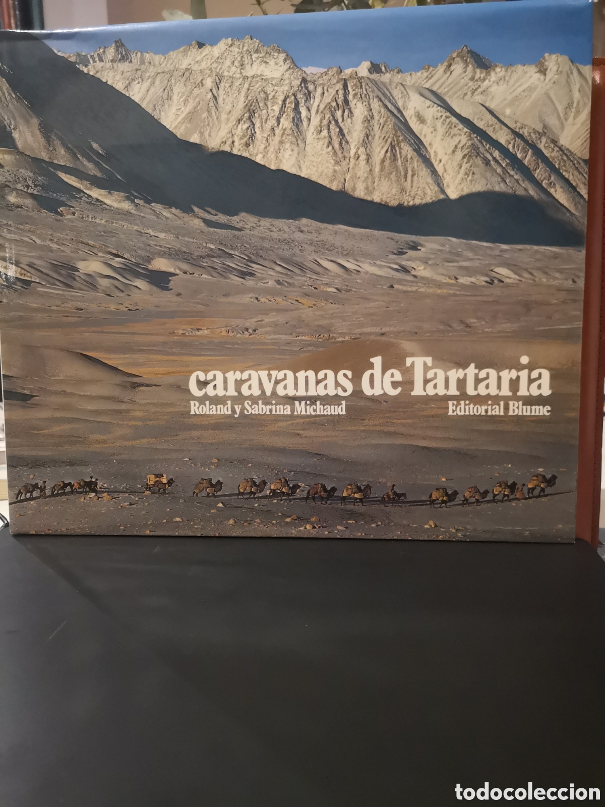 Libri di seconda mano: Caravanas de Tartaria. Roland y Sabrina Michaud