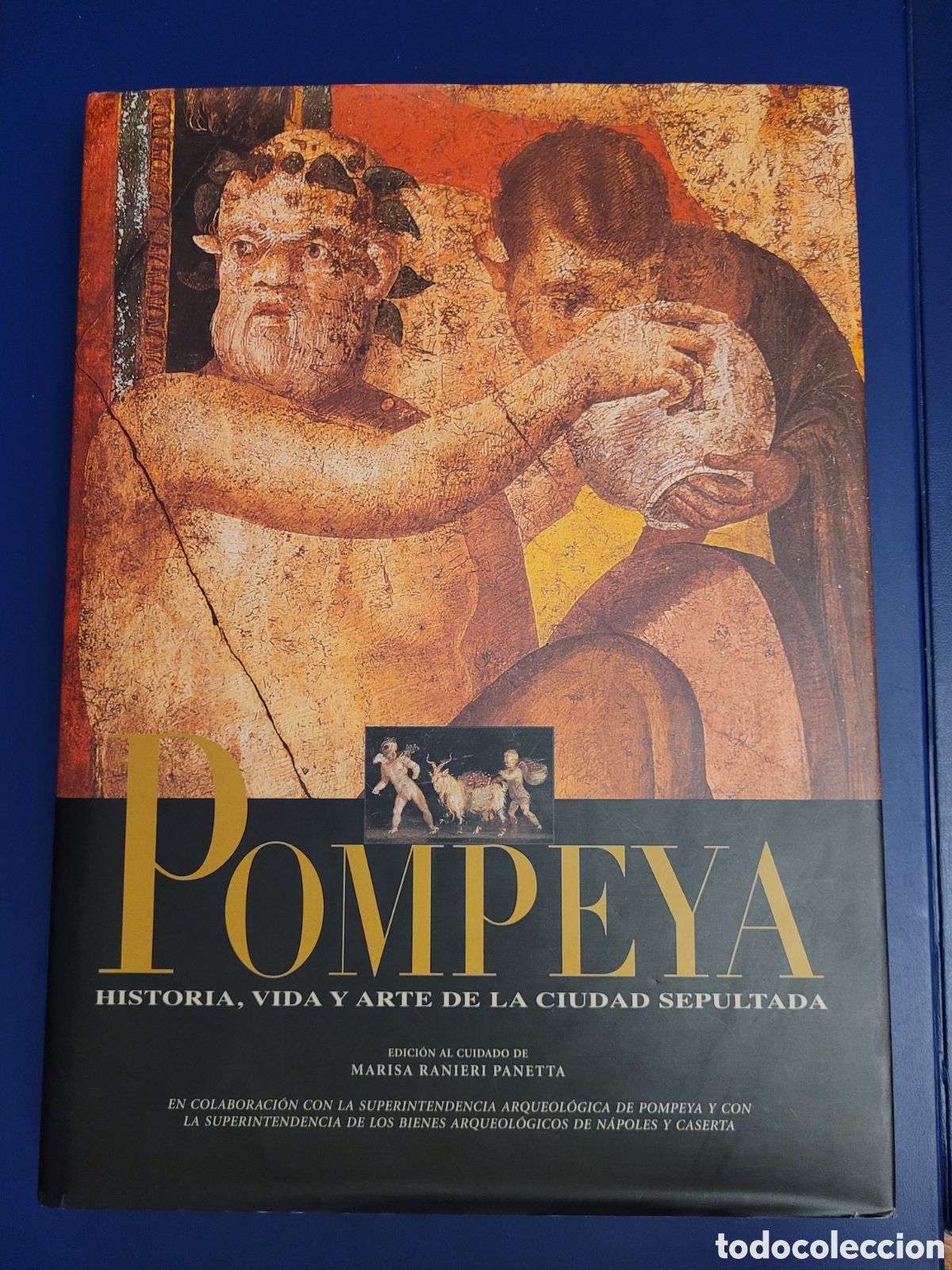 Libros de segunda mano: POMPEYA HISTORIA, VIDA Y ARTE DE LA CIUDAD SEPULTADA
