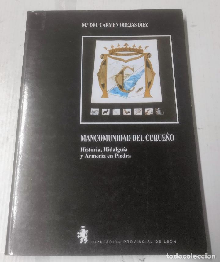 Gebrauchte B&uuml;cher: M. del Carmen Orejas D&iacute;ez, Mancomunidad del Curue&ntilde;o, Diputaci&oacute;n de Le&oacute;n, 1993