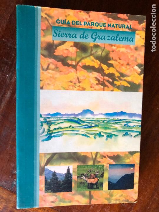 Libros de segunda mano: GUIA DEL PARQUE NATURAL SIERRA DE GRAZALEMA Junta de Andalucia