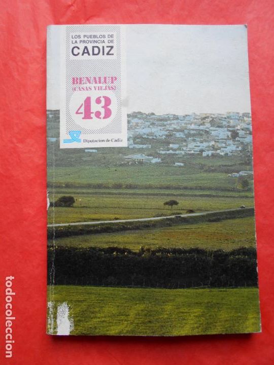 Gebrauchte B&uuml;cher: PUEBLOS DE LA PROVINCIA DE CADIZ DIPUTACION BENALUB