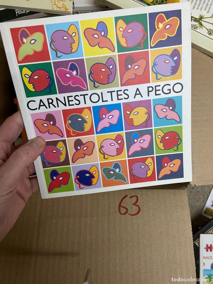 Libros de segunda mano: CAJA63 CARNESTOLTES A PEGO, CARNAVAL