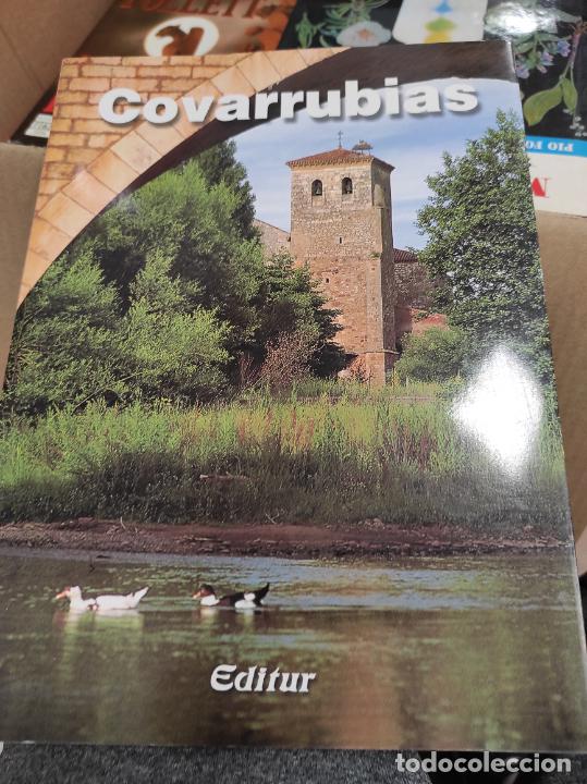 Libros de segunda mano: COVARRUBIAS. EDITUR - Foto 1