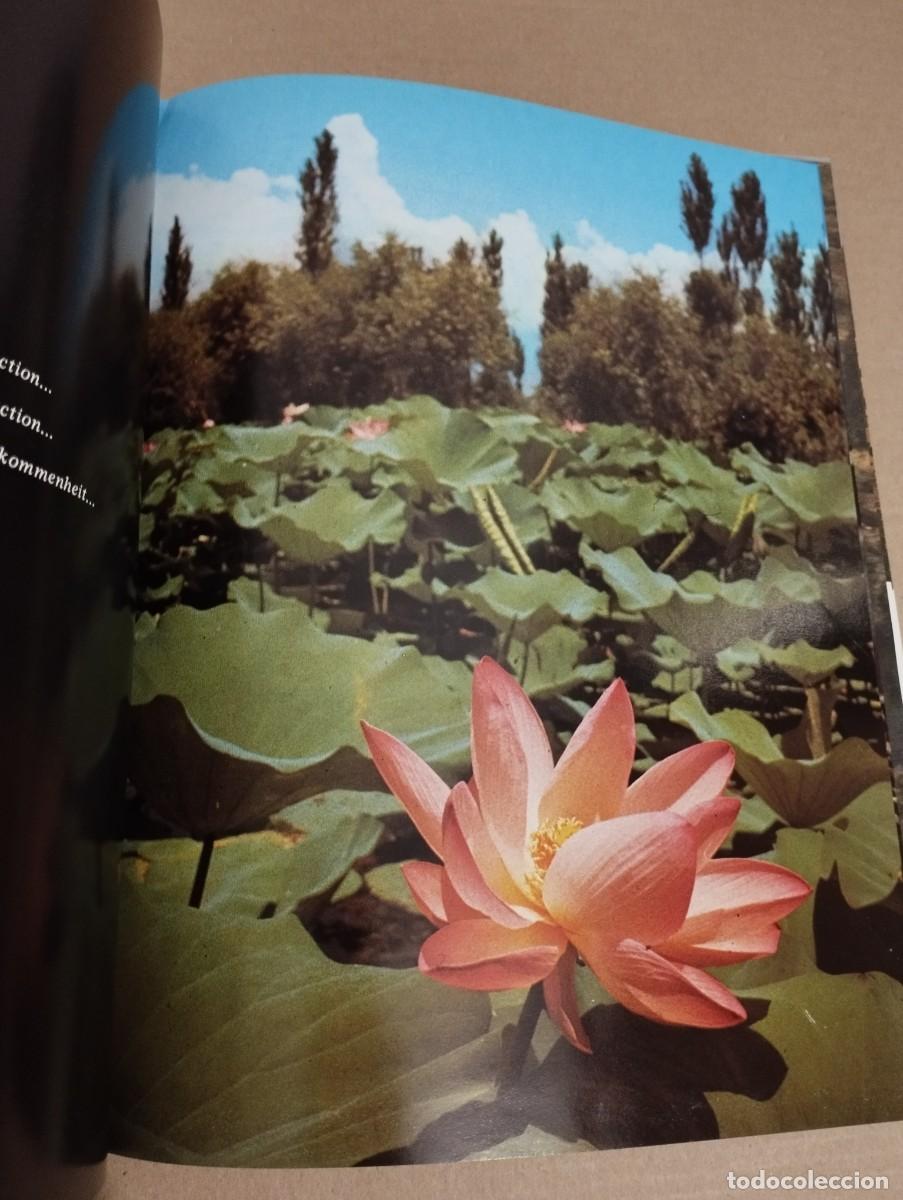 Libros de segunda mano: KASHMIR (FRANCIS BRUNEL) - Foto 12
