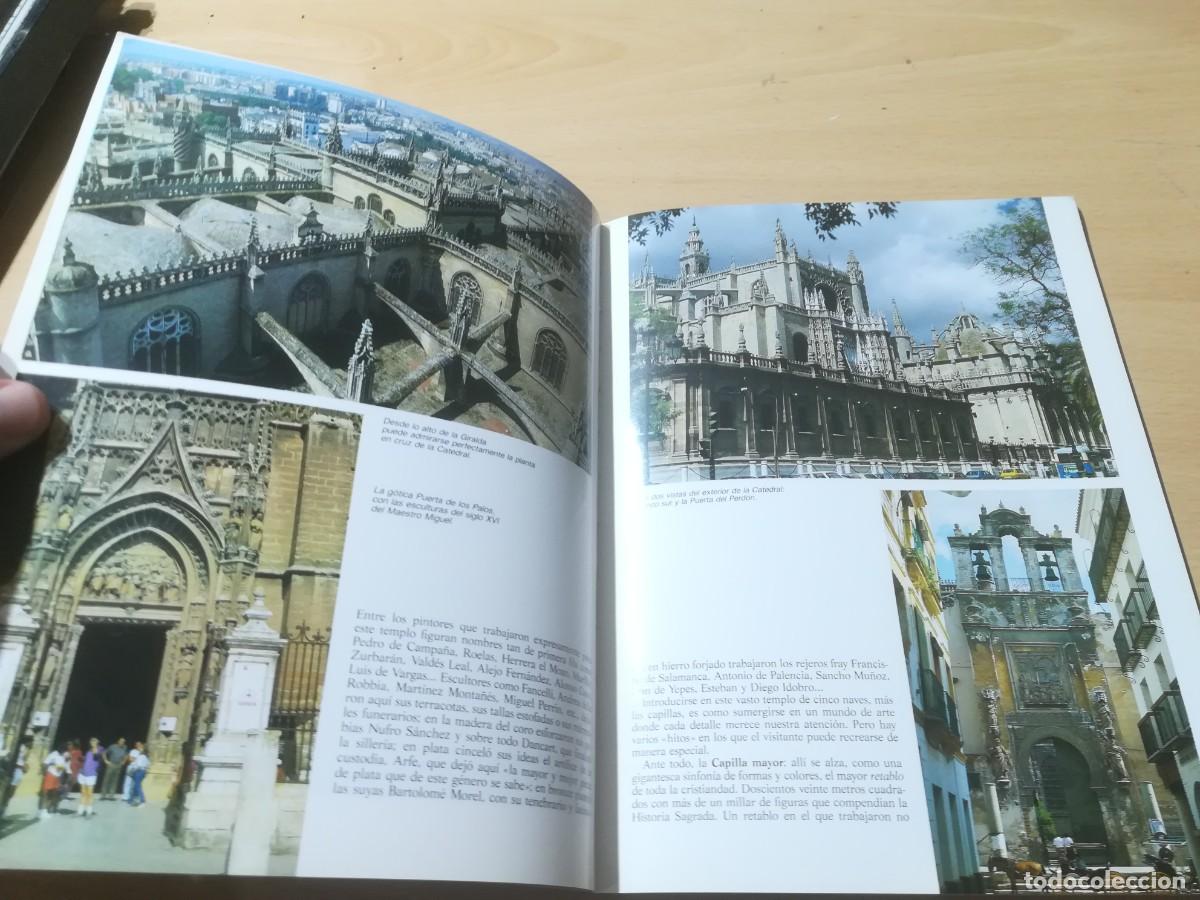 Libros de segunda mano: SEVILLA / AM87 / BONECHI - Foto 9