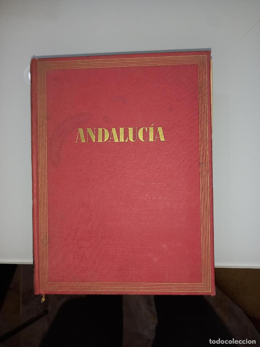 Libros de segunda mano: PEMAN, ANDALUCIA, ED.1958 - Foto 1