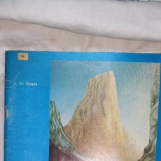 Libros de segunda mano: PICOS DE EUROPA,MACIZO CENTRAL.J.M.BOADA EDITA FEDERACION ESPAÑOLA DE MONTAÑISMO MADRID 1981. Lote 403076054