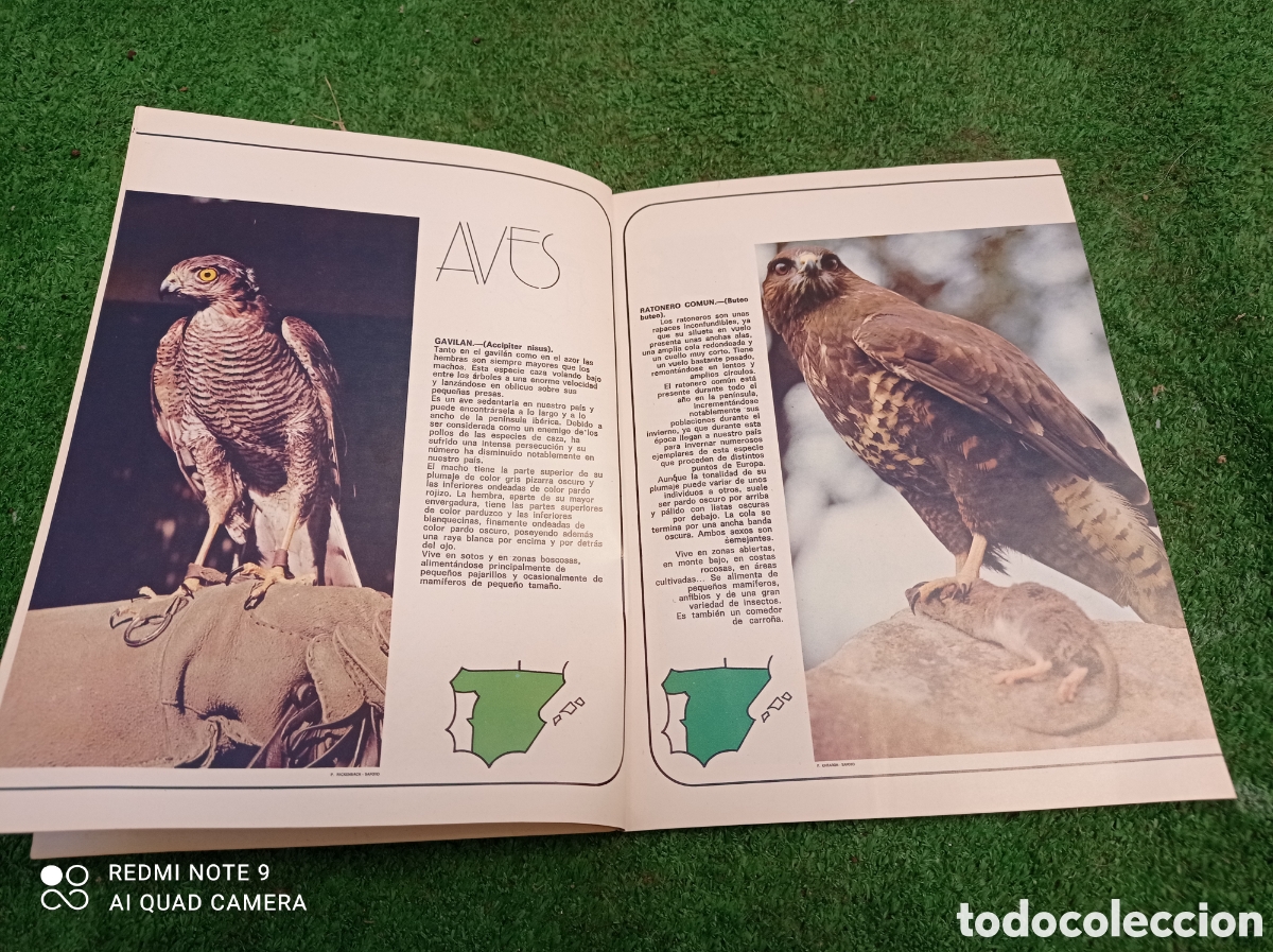 Libros de segunda mano: El libro de las especies protegidas - Foto 2