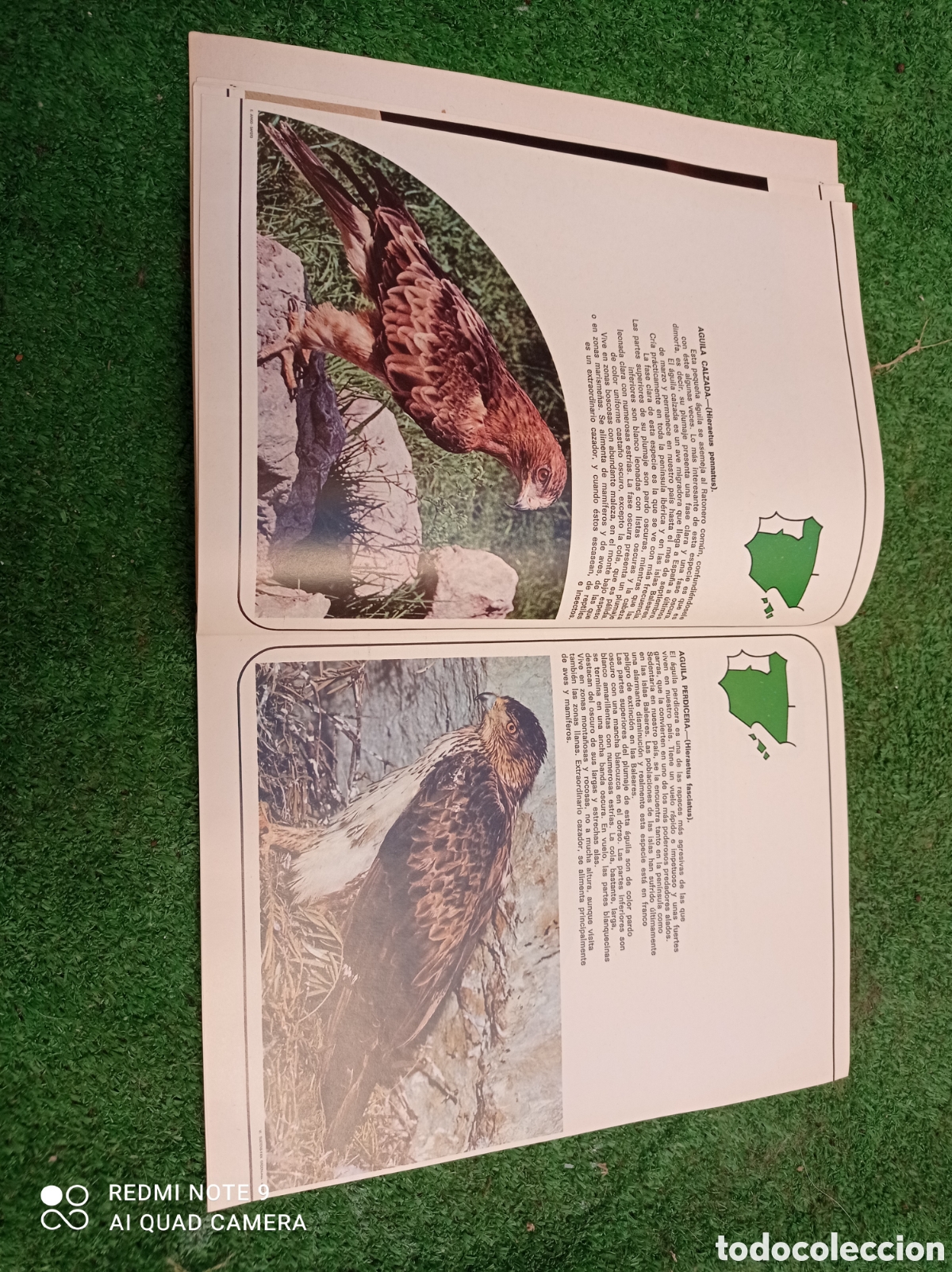 Libros de segunda mano: El libro de las especies protegidas - Foto 3