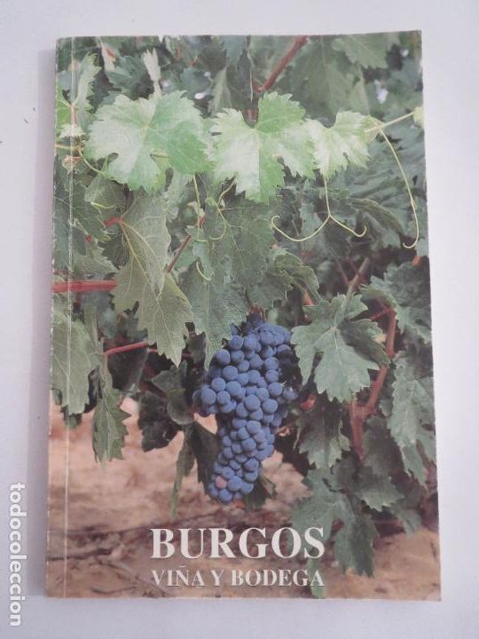 Libros de segunda mano: BURGOS VI&Ntilde;A Y BODEGA CAJA DE AHORROS MUNICIPAL 1990 TAPA BLANDA
