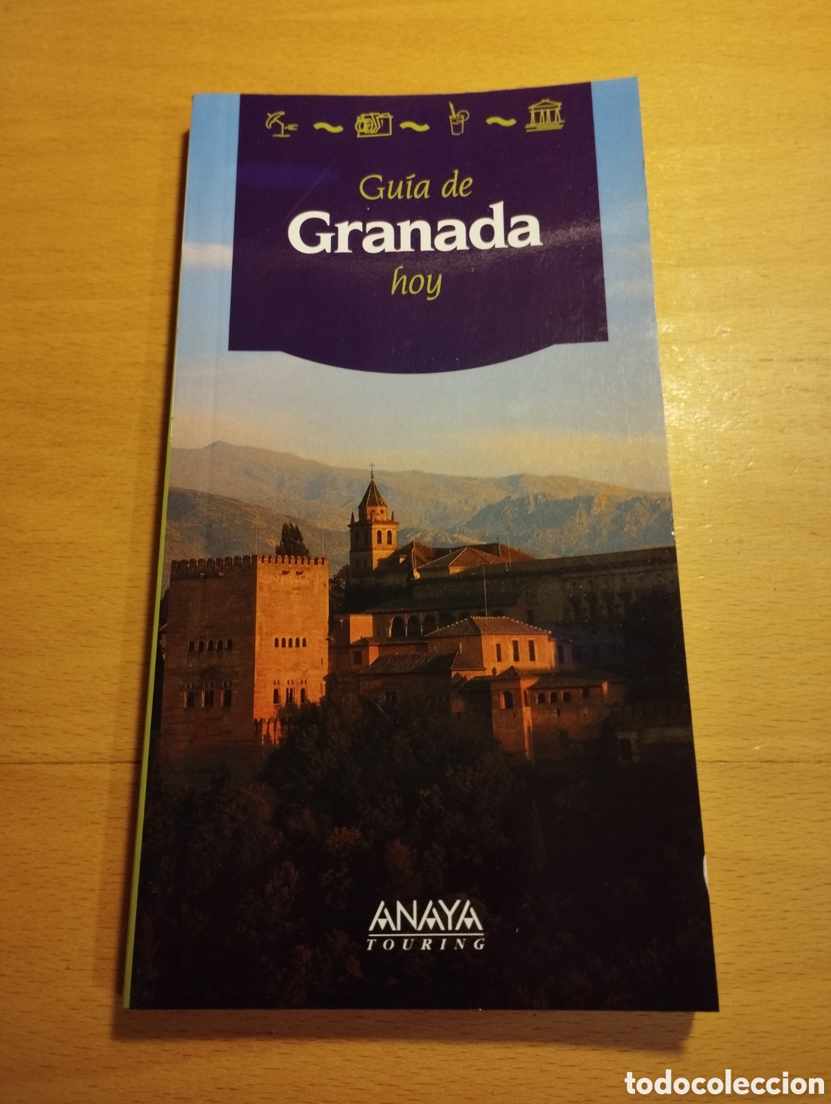 Gebrauchte B&uuml;cher: GU&Iacute;A DE GRANADA HOY (ANAYA TOURING)