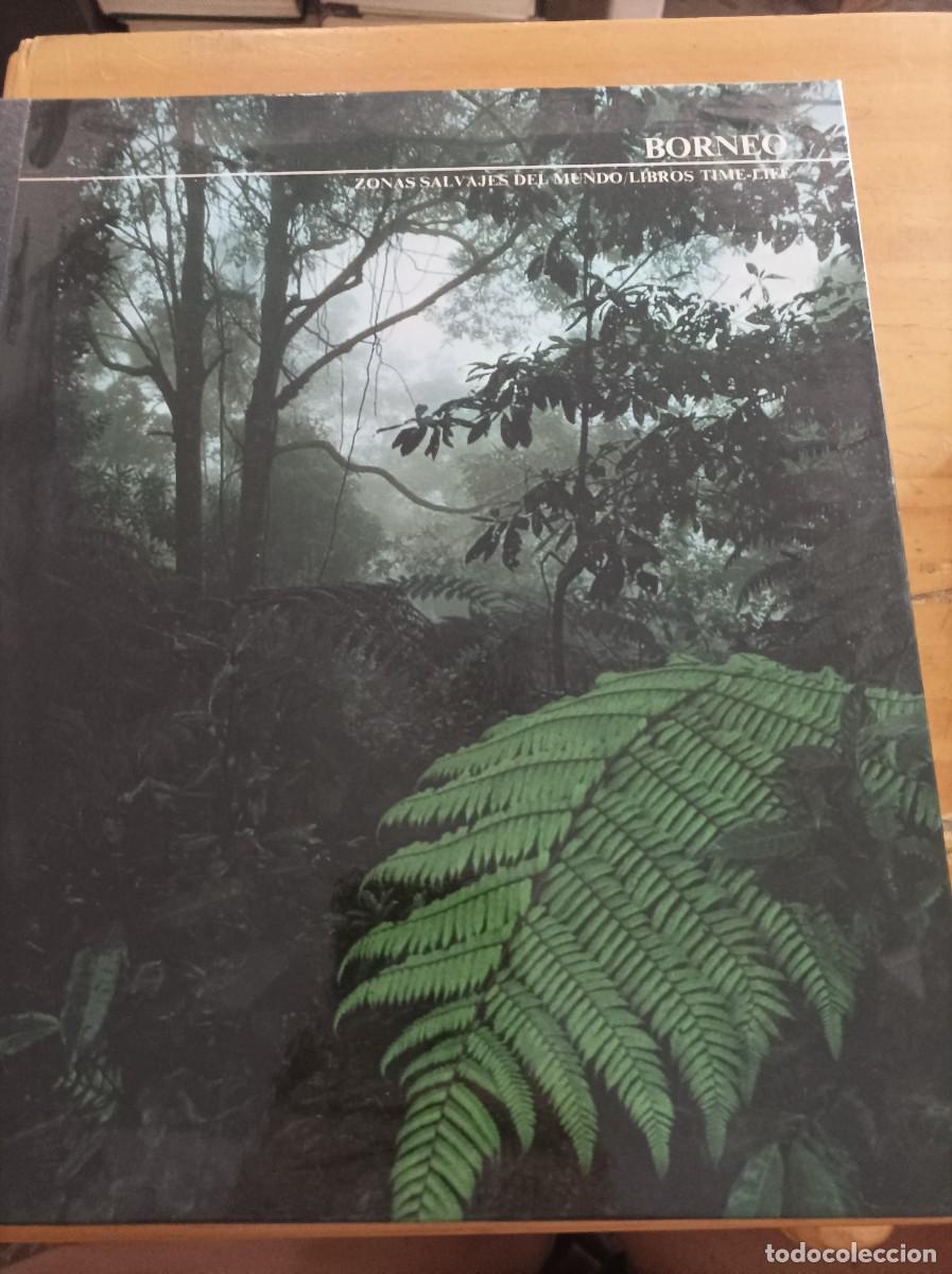 Gebrauchte B&uuml;cher: BORNEO,ZONAS SALVAJES DEL MUNDO,JOHN MACKINNON,1976,184 PAG.